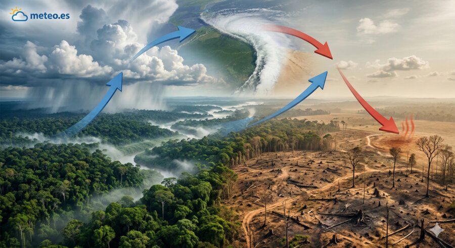 Guía completa para interpretar mapas meteorológicos: isobaras, frentes, símbolos y más