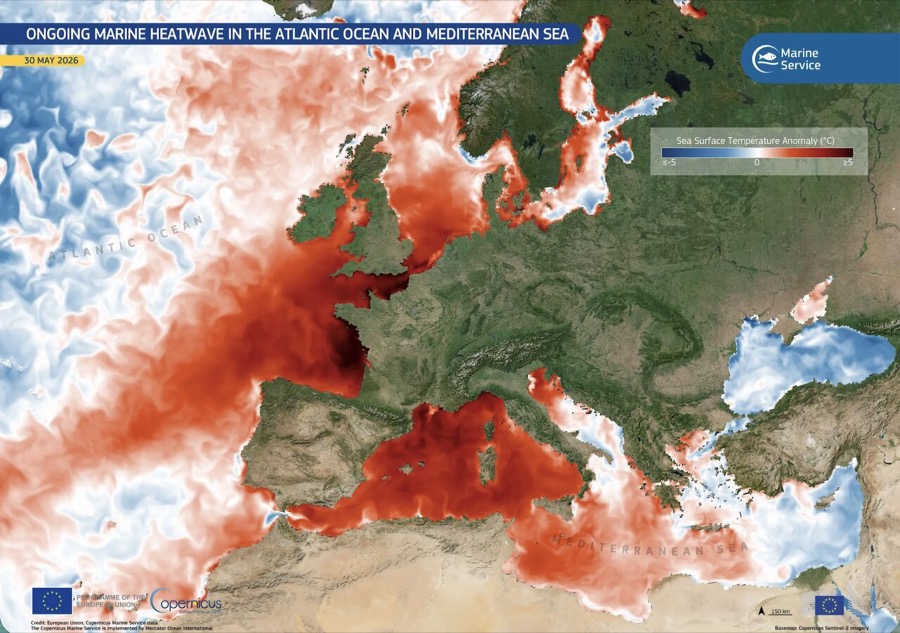 A sea too warm: what the Atlantic and Mediterranean marine heatwave means for summer in Spain